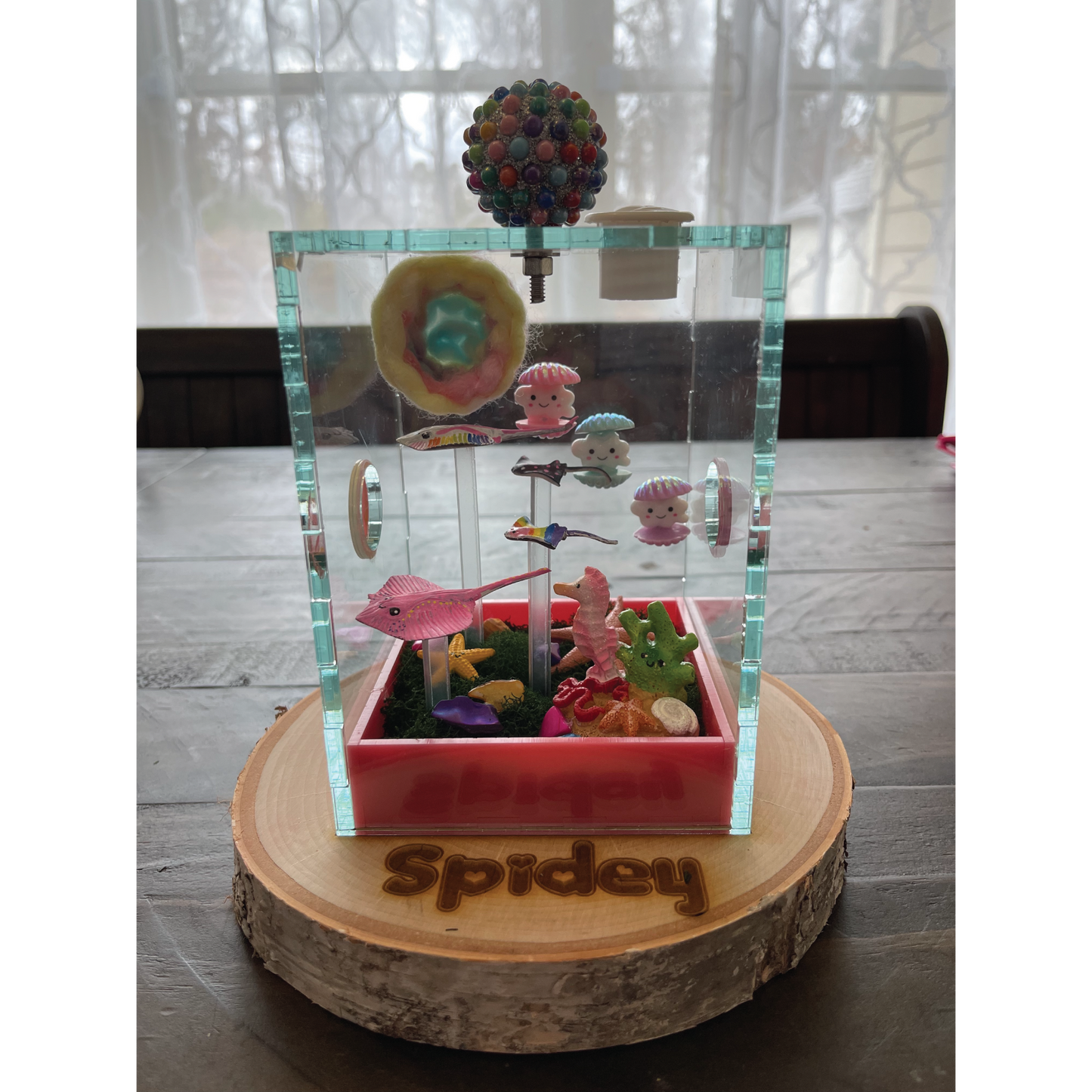 Jumping Spider Custom Under the Sea Themed Enclosure (4in x 4in x 6in)