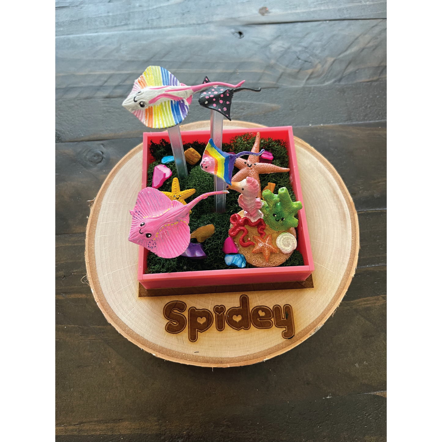 Jumping Spider Custom Under the Sea Themed Enclosure (4in x 4in x 6in)