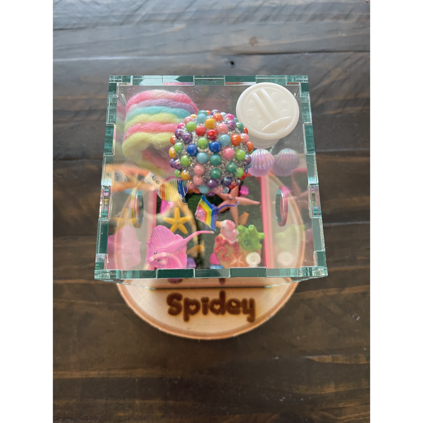 Jumping Spider Custom Under the Sea Themed Enclosure (4in x 4in x 6in)
