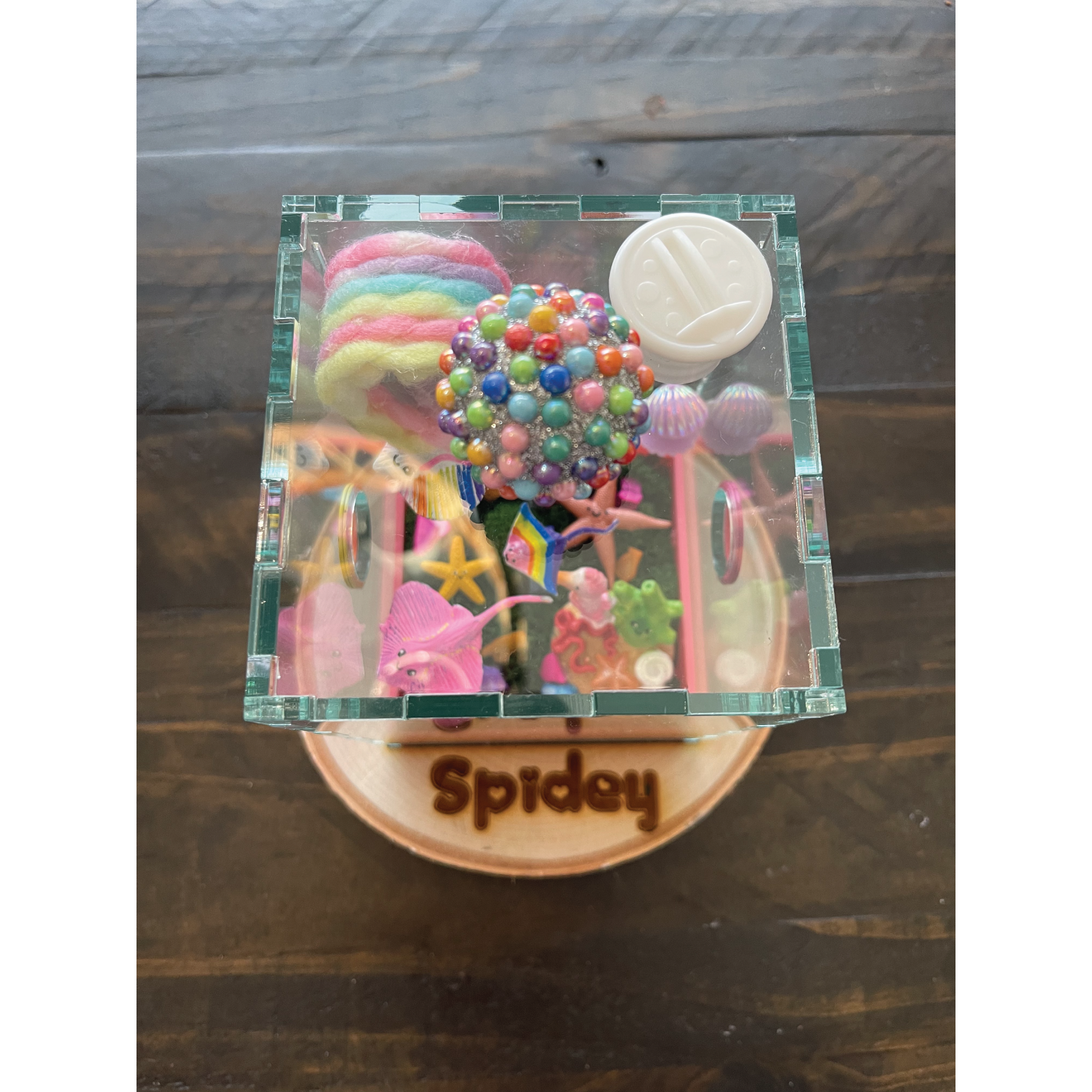 Jumping Spider Custom Under the Sea Themed Enclosure (4in x 4in x 6in)