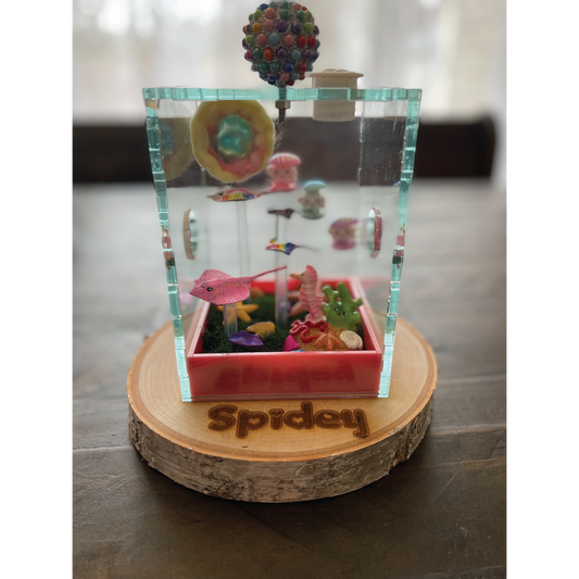 Jumping Spider Custom Under the Sea Themed Enclosure (4in x 4in x 6in)