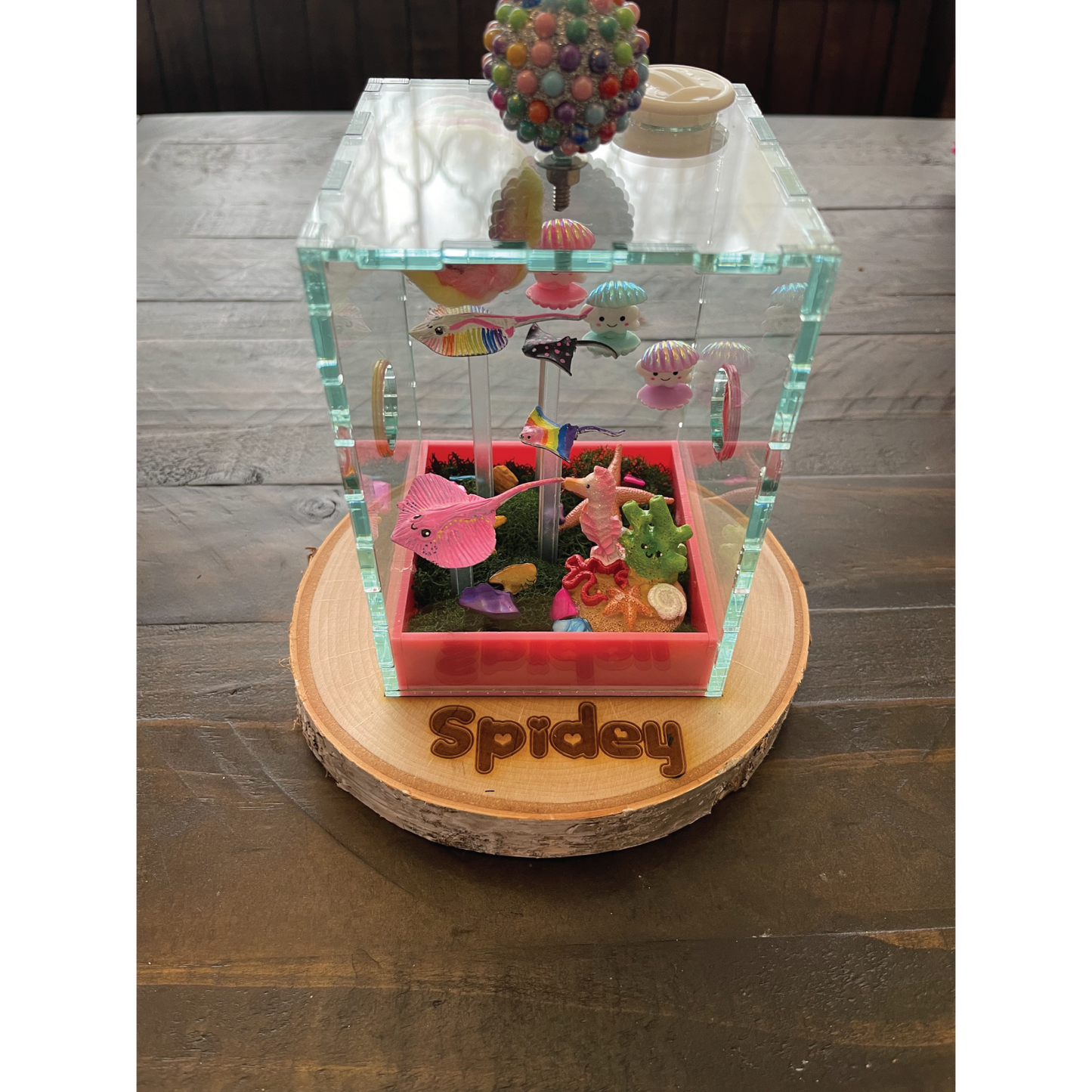 Jumping Spider Custom Under the Sea Themed Enclosure (4in x 4in x 6in)