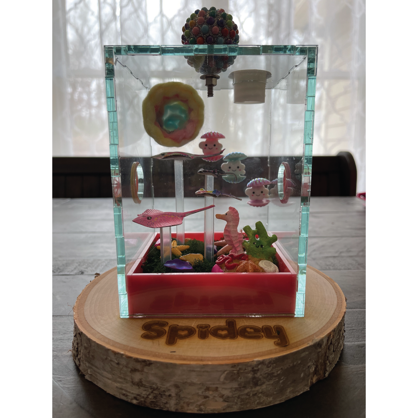 Jumping Spider Custom Under the Sea Themed Enclosure (4in x 4in x 6in)